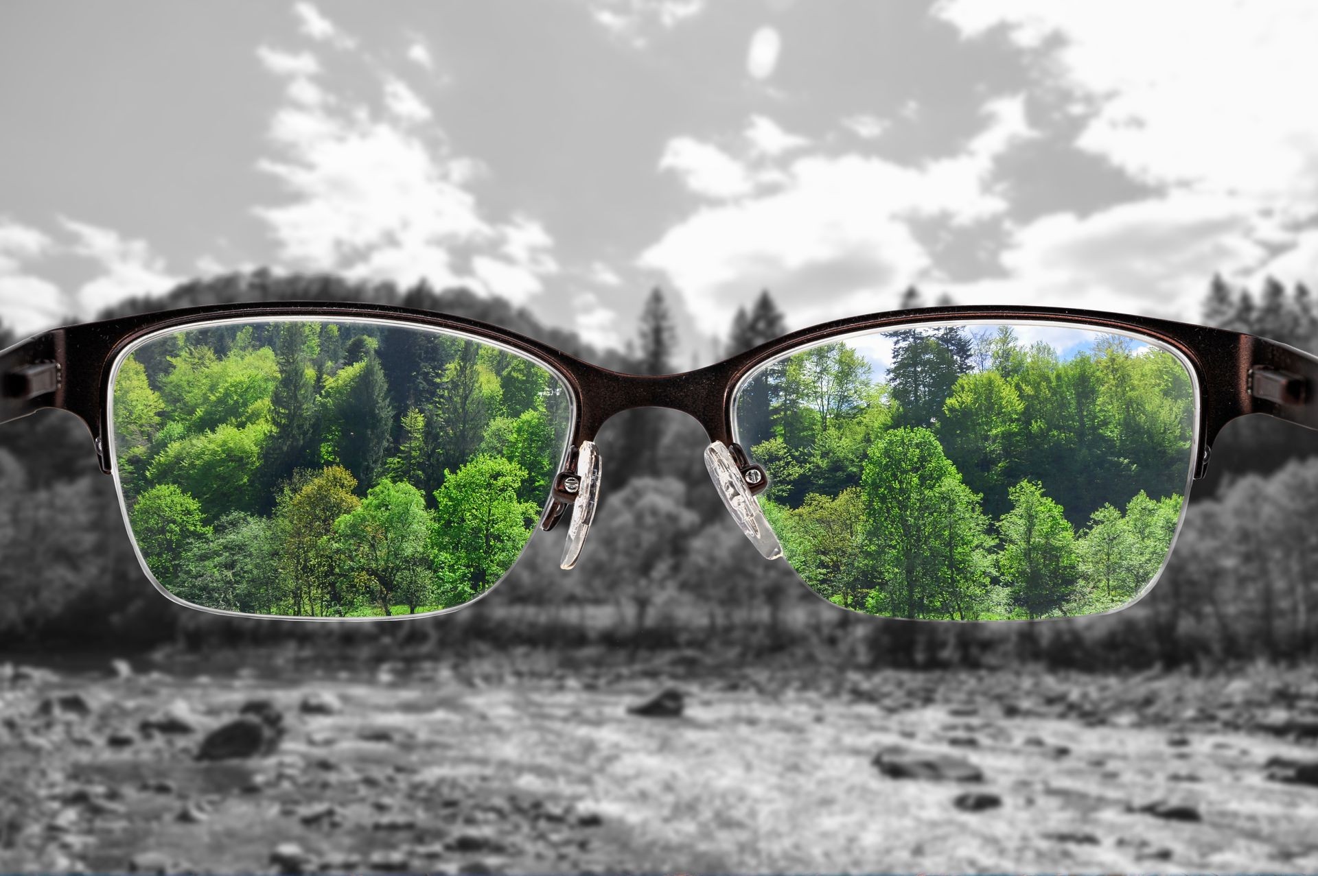 Black and white landscape with vibrant green forest in focus through the lens of eyeglasses.